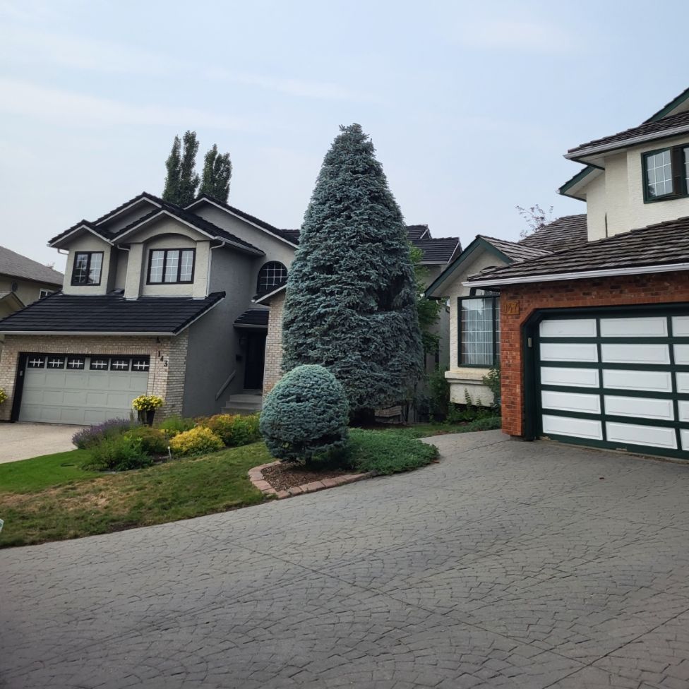 Rooted Tree Solutions Lightbox Image of Nick Gratton, arborist, hard at work maintaining a tree's health.