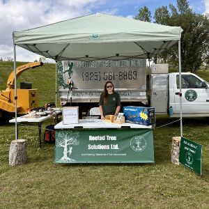 Rooted Tree Solutions Gallery Image of Nick Gratton, arborist, hard at work maintaining a tree's health.