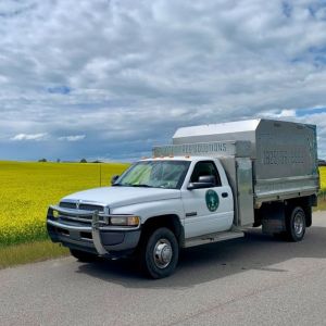 Rooted Tree Solutions Gallery Image of Nick Gratton, arborist, hard at work maintaining a tree's health.